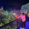fayeforbes025 - @sebrofeyaf25 - TikTok