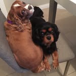 Faye Glover - @eyafglo - Instagram