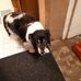 Faye Graff - Facebook