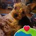 Faye Greer - Facebook