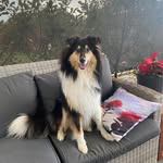 Faye Greer - @fayegreer - Instagram