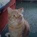 Faye Gregg - Facebook