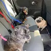 Faye Gregory - @faye.gregory55 - TikTok