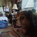 Faye Griffin - Facebook
