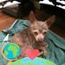 Faye Hahn - Facebook
