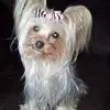 fayehammittperry - @fayehammittperry - TikTok
