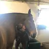 Faye Hancock - @fayehancock1 - TikTok