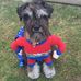 Faye Harding - Facebook