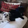 fayeharper17 - @fayeharper17 - TikTok