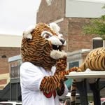Fayette County High School - @fayettecountyhigh - Instagram
