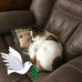 Faye Hill - Facebook