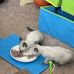 Faye Hill - Facebook