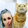fayehill635 - @fayehill635 - TikTok