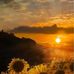 Faye Hobson - Facebook