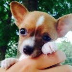 Avery faye Hoffman - @averyh19 - Instagram