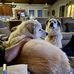 Fay Holcomb - Facebook