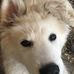 Fay Holcomb - Facebook