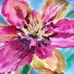 Faye Horner - Facebook