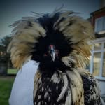 Faye House - @fayelou_house - Instagram