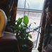 Faye House - Facebook