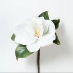 Erica Faye Hunter - @_themagnoliatree_ - Instagram