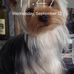 Faye Hunter - Facebook