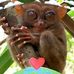 Faye Inglis - Facebook