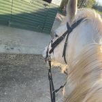 Faye - @faye_jarman7 - Instagram