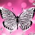 Faye Jester - Facebook