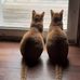 Faye Johnston - Facebook