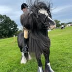 Faye Kenyon - Facebook