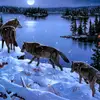 Janine klein - @fayeklein1 - TikTok
