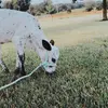 kyleefaye014 - @kyleefaye014 - TikTok