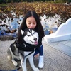 Faye Luo - @faye_coco31 - TikTok