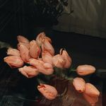 Faye Luo - @superkitee - Instagram
