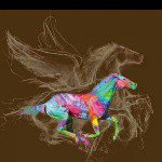 faye lynch - @hugs_n_horses - Instagram