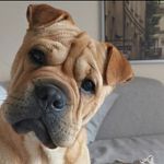 Faye Lynch - @islaysor - Instagram