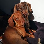 Faye Mann - @pictures_old_byme - Instagram