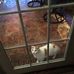 Faye Marlow - Facebook