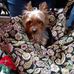 Faye McBride - Facebook