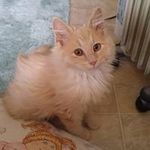 Karen Faye McCarty - @mccarty.karen - Instagram