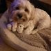 Faye Mccormack - Facebook