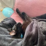 Faye Meade - @fayelucy0418 - Instagram