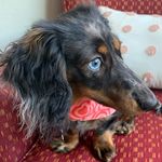 Mani Faye Meade - @manifayemeades_adventures - Instagram