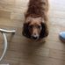 Faye Meeks - Facebook