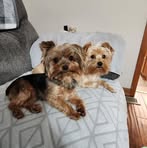 Faye Meeks Binkley - Facebook