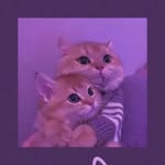 Fayé M_elvine - @just_marieelvine - Instagram