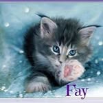 Fay P Merrick - @faypmerrick - Instagram