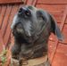Faye Mitchell - Facebook