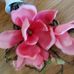 Faye Mosher - Facebook